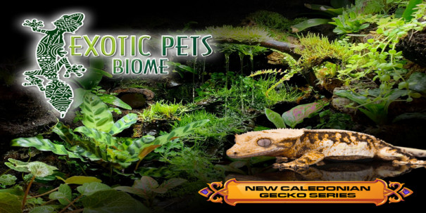 Exotic Pet Biome